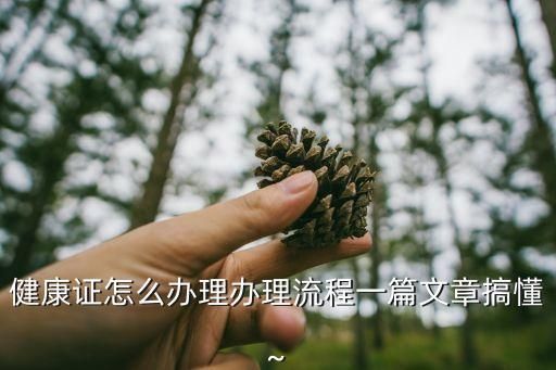 健康证怎么办理办理流程一篇文章搞懂~
