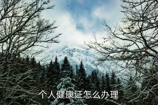 个人健康证怎么办理