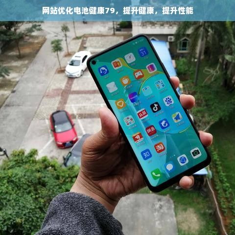 网站优化电池健康79，提升健康，提升性能