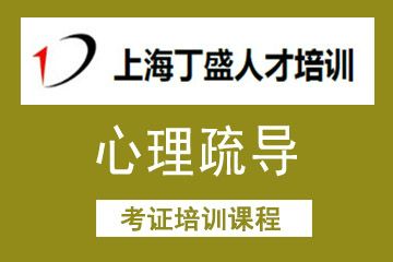 上海丁盛人才培訓(xùn)上海丁盛心理疏導(dǎo)培訓(xùn)課程圖片