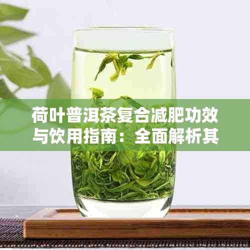 荷叶普洱茶复合减肥功效与饮用指南：全面解析其瘦身原理及正确饮用方法