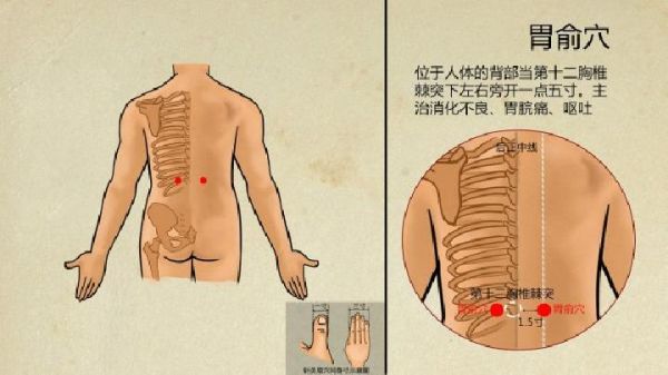对这5个穴位进行拔罐 养生保健功效好