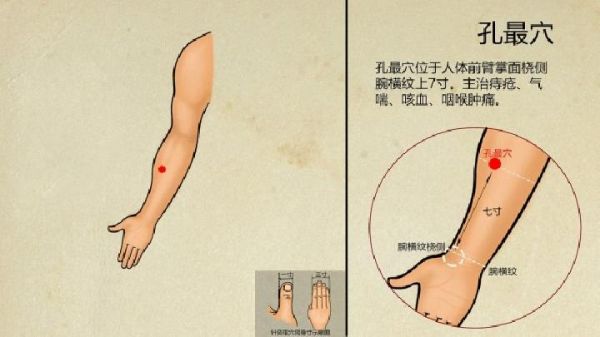 对这5个穴位进行拔罐 养生保健功效好