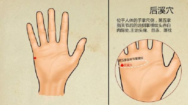 这几个穴位拔罐养生效果 帮您延年益寿