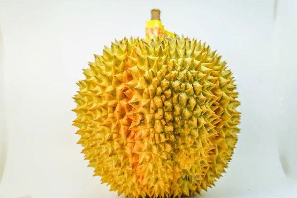 榴莲吃起来苦怎么回事 榴莲是高蛋白食物吗