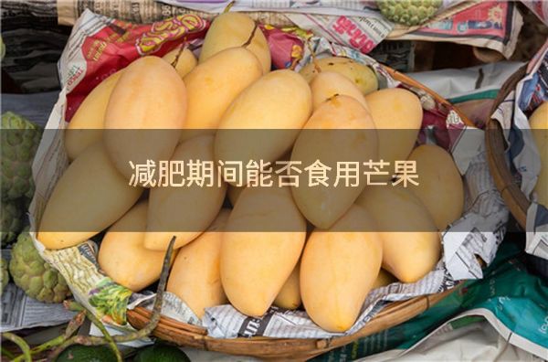 减肥期间能否食用芒果