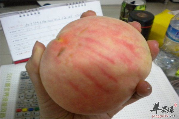 吃水蜜桃2.jpg