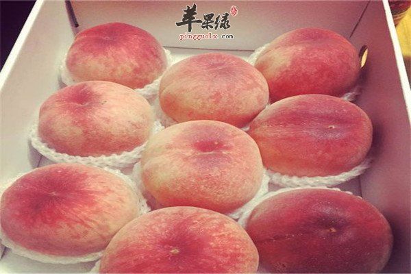 吃水蜜桃1.jpg