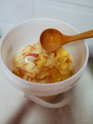 水果酵素之菠萝酵素（水果酒）的做法 步骤4