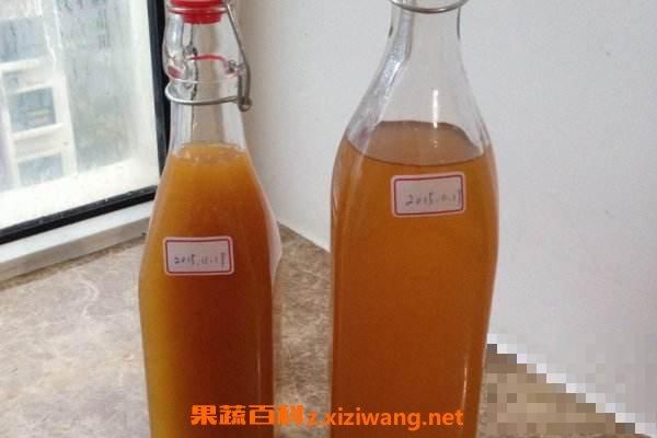菠萝酵素的功效与作用 吃菠萝酵素的好处