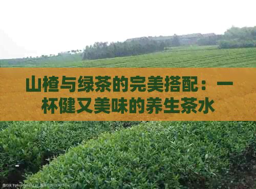 山楂与绿茶的完美搭配：一杯健又美味的养生茶水
