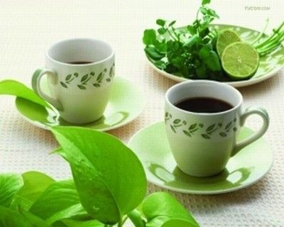 绿茶配什么