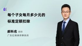 每个子女每月多少元的标准定额扣除