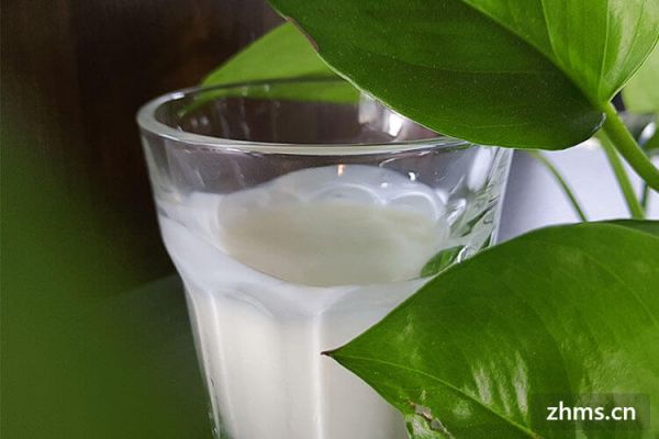 酸奶燕麦减肥