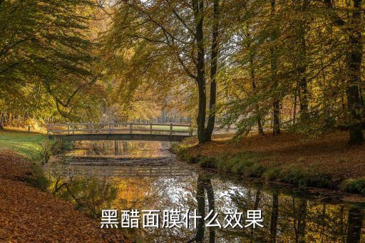 黑醋面膜什么效果
