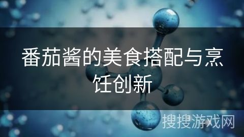 番茄酱的美食搭配与烹饪创新