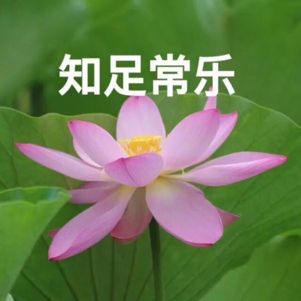 夏伊宸