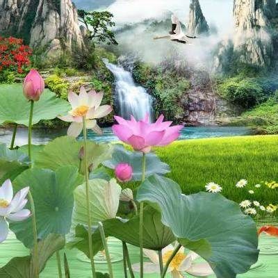 邹访琴