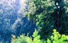 何时出梅？江苏最新预测