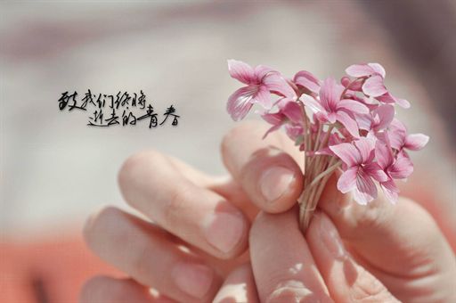 减重专家破解减肥九大谣言，真相揭秘，健康瘦身不再迷茫