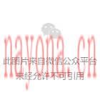 实战点穴60例调病绝技一 