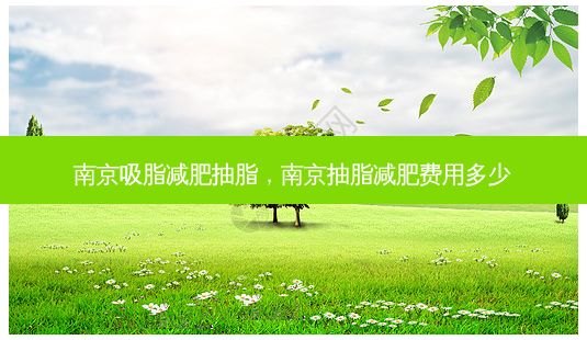 南京吸脂减肥抽脂,南京抽脂减肥费用多少-第1张图片-一诺整形网