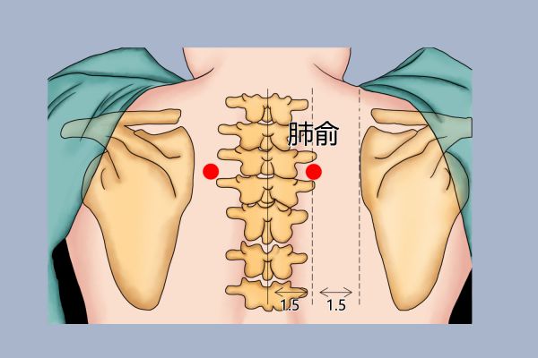 背部肺俞位置圖