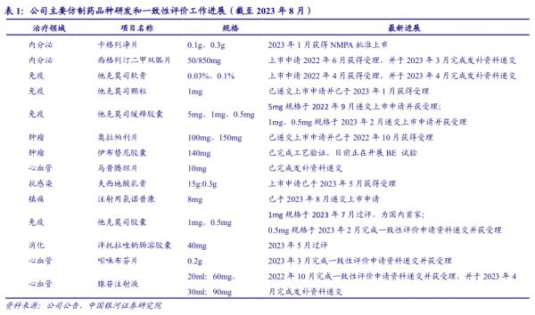 公司主要仿制药品种研发和一致性评价工作进展（戴至2023年8月） - 2023年08月 - 行业研究数据