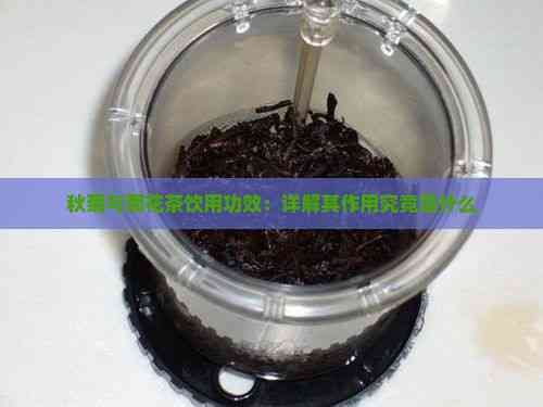 秋菊与菊花茶饮用功效：详解其作用究竟是什么