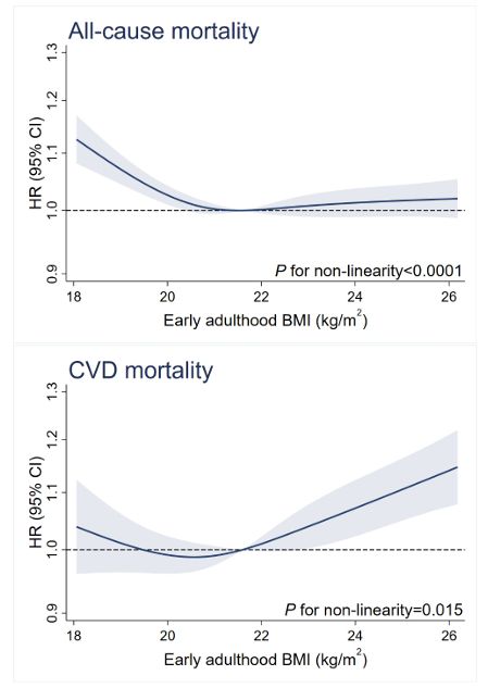 圖5 成年早期BMI與全因死亡率和心血管疾病死亡率的關(guān)系