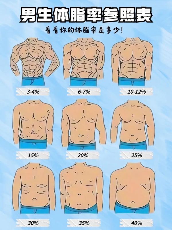 身體脂肪多少算正常