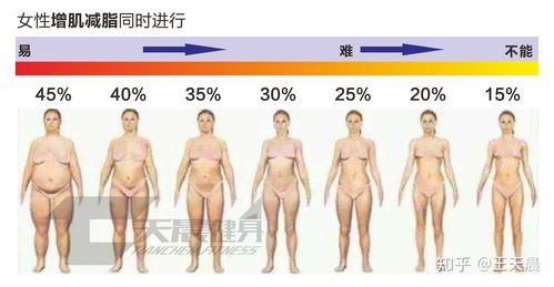 正常人的體脂率應(yīng)該是多少？