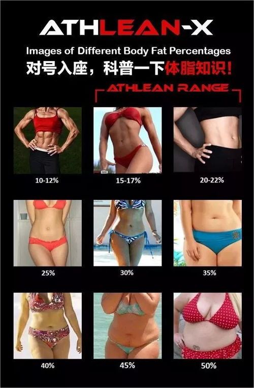 體脂率多少正常？