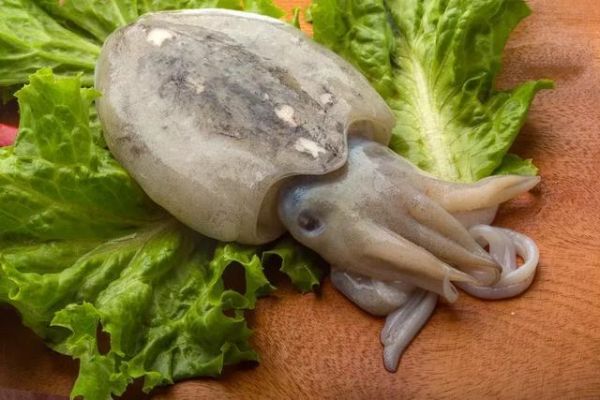 养生达人：这6种黑色食物，补肾补血，养颜抗衰，冬天你别错过