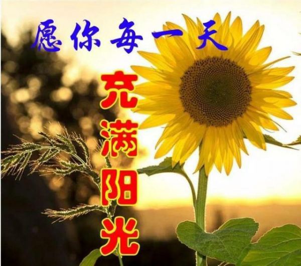 王真