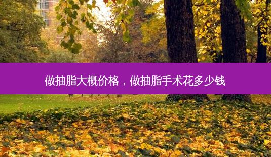 做抽脂大概价格,做抽脂手术花多少钱-第1张图片-一诺整形网