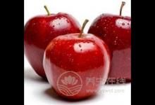 七种有效的懒人减肥法 轻轻松松减掉脂肪
