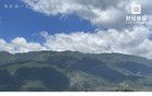谁能抱住新“药王” 司美格鲁肽的 “金大腿”？