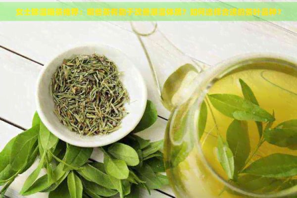 女士除湿喝茶推荐：哪些茶有助于改善潮湿体质？如何选择合适的茶叶品种？