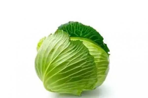 卷心菜怎么炒比较好吃 卷心菜的热量