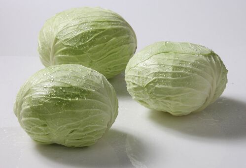 卷心菜的热量及功效与作用2