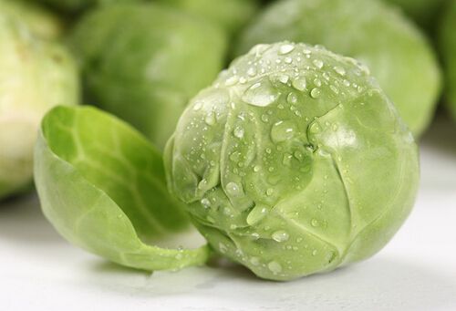 卷心菜的热量及功效与作用4