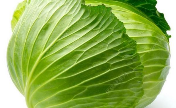 卷心菜减肥法的原理是什么？食用卷心菜减肥要注意什么？(1)