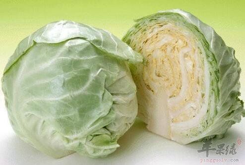 卷心菜不能和什么一起吃