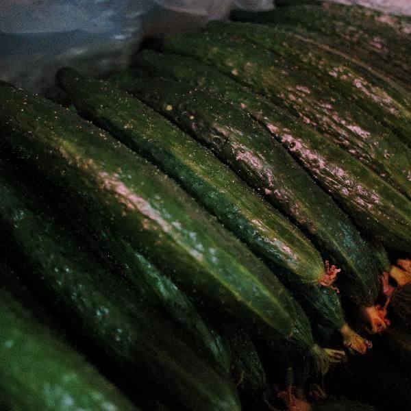 哪些蔬菜吃了可以减肥 这些减肥蔬菜食谱分享