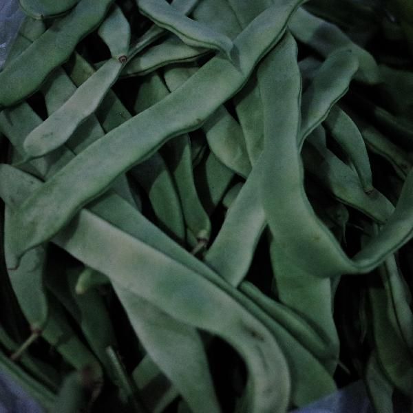哪些蔬菜吃了可以减肥 这些减肥蔬菜食谱分享