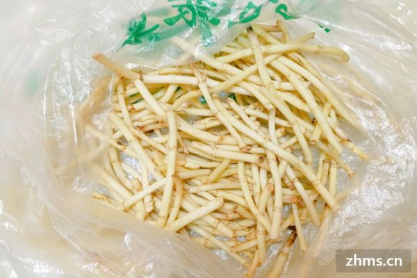 鱼腥草能减肥