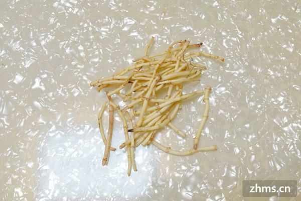 鱼腥草能减肥，这种事情你听说过吗