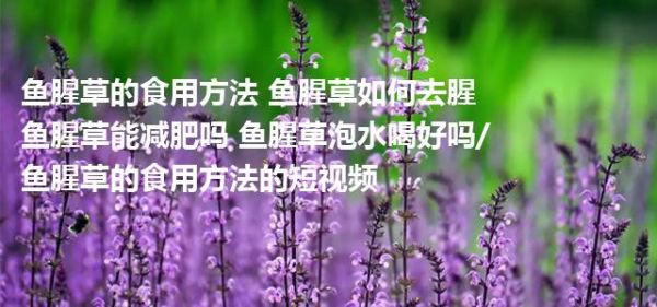 鱼腥草的食用方法 鱼腥草如何去腥 鱼腥草能减肥吗 鱼腥草泡水喝好吗/鱼腥草的食用方法的短视频