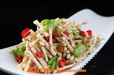 鱼腥草根的功效与作用及食用方法